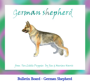 Bulletin board art of a German Shepherd (Alsatian) dog.  Watercolor art by artist Jim Harris, from the wiggly-eyeball book, Ten Little Puppies.